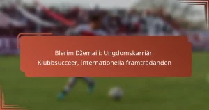Blerim Džemaili: Ungdomskarriär, Klubbsuccéer, Internationella framträdanden