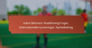 Valon Behrami: Klubbframgångar, Internationella turneringar, Nyckelbidrag