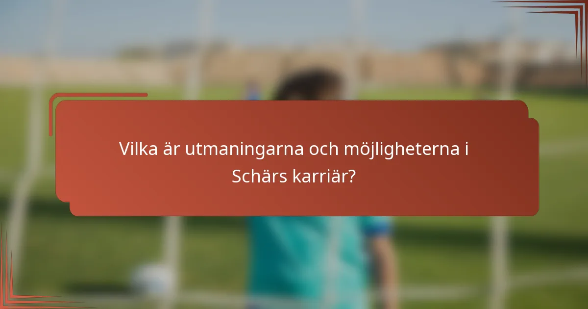 Vilka är utmaningarna och möjligheterna i Schärs karriär?