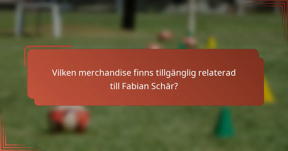 Vilken merchandise finns tillgänglig relaterad till Fabian Schär?